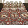 Picture 3/8 -Red Astana#13