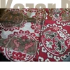 Picture 4/5 -Red Astana#4